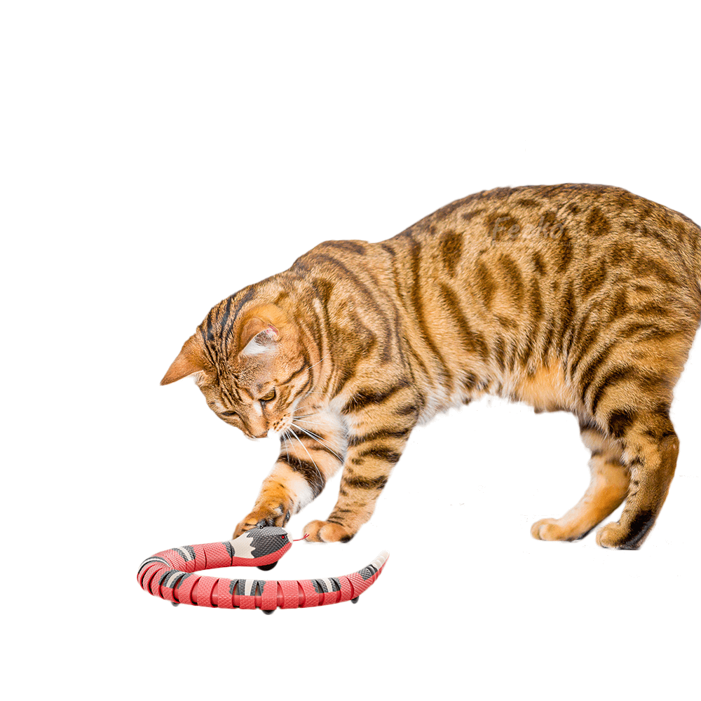 Fun Snake Cat Toy